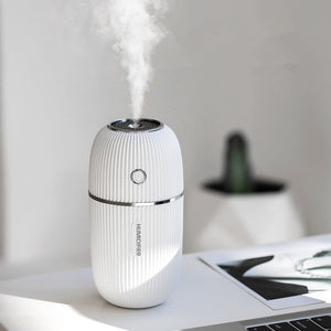Enhance Your Space with the Portable Humidifier